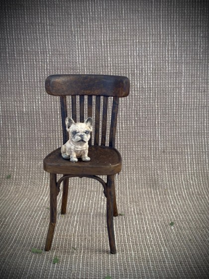 french_bulldog_pup_on_chair