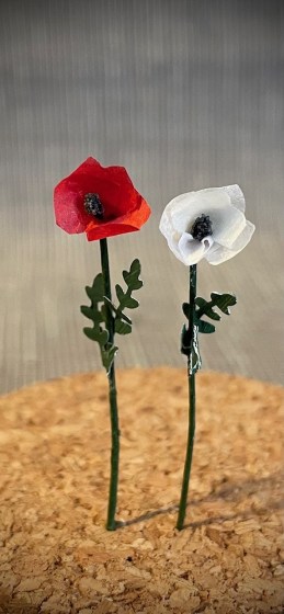 poppy
